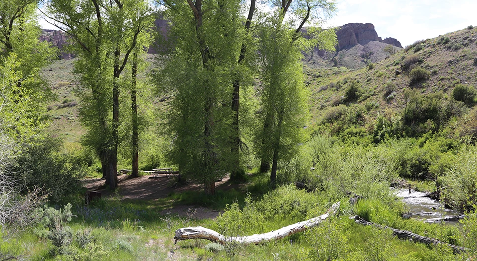 Red Creek Group Site