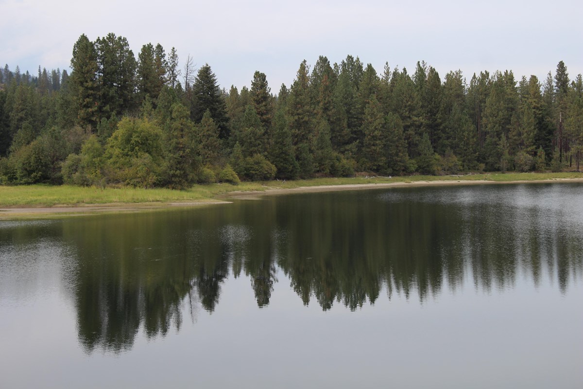 Evans Group Camp