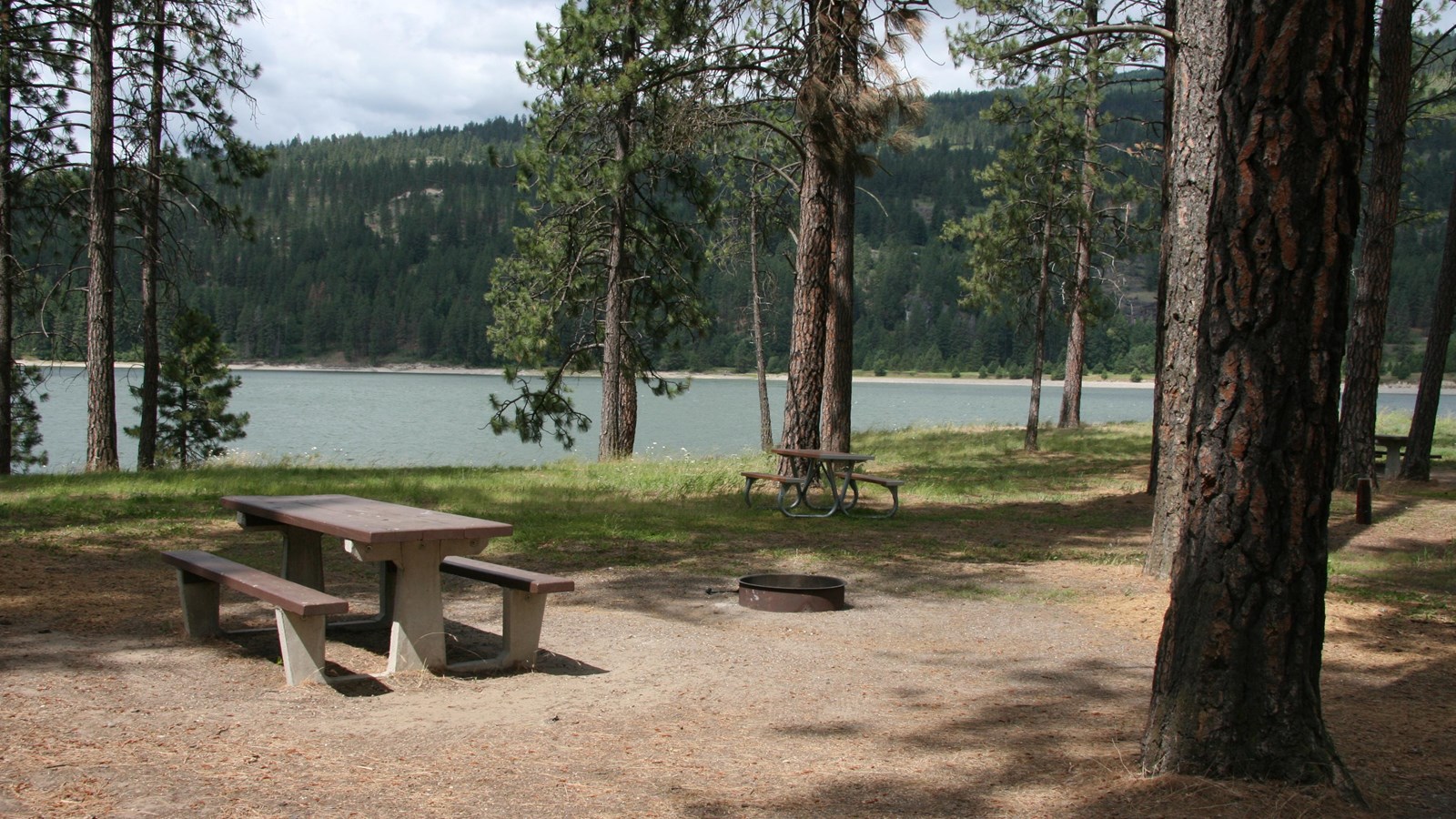Kettle Falls Locust Grove Group Site