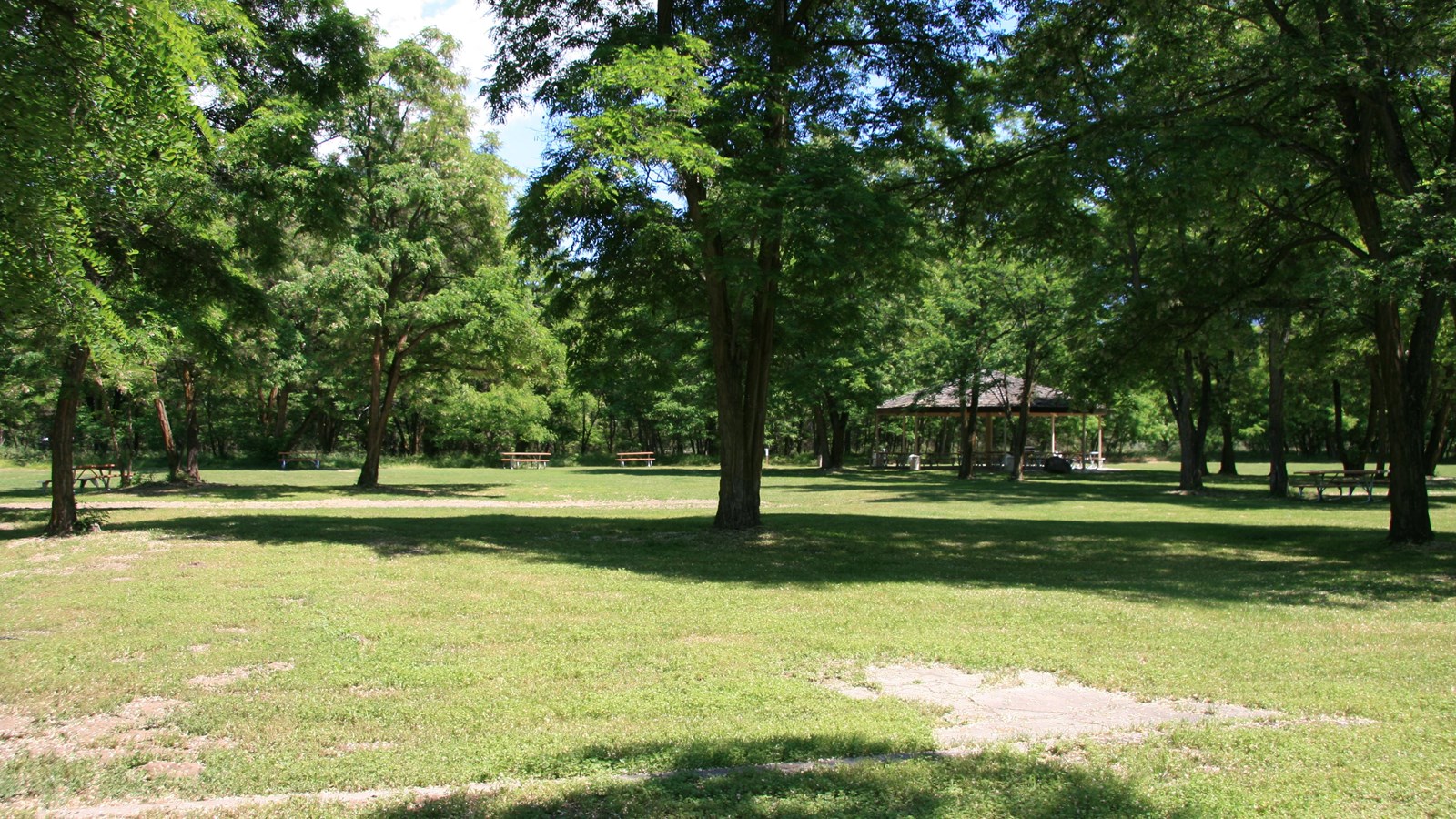 Kettle Falls Locust Grove Group Site