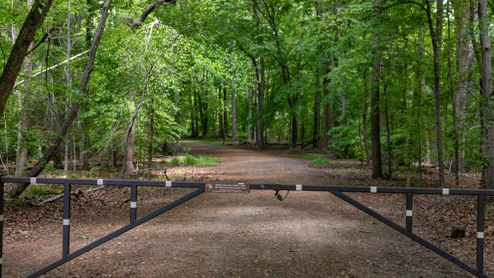 Turkey Run Ridge Group