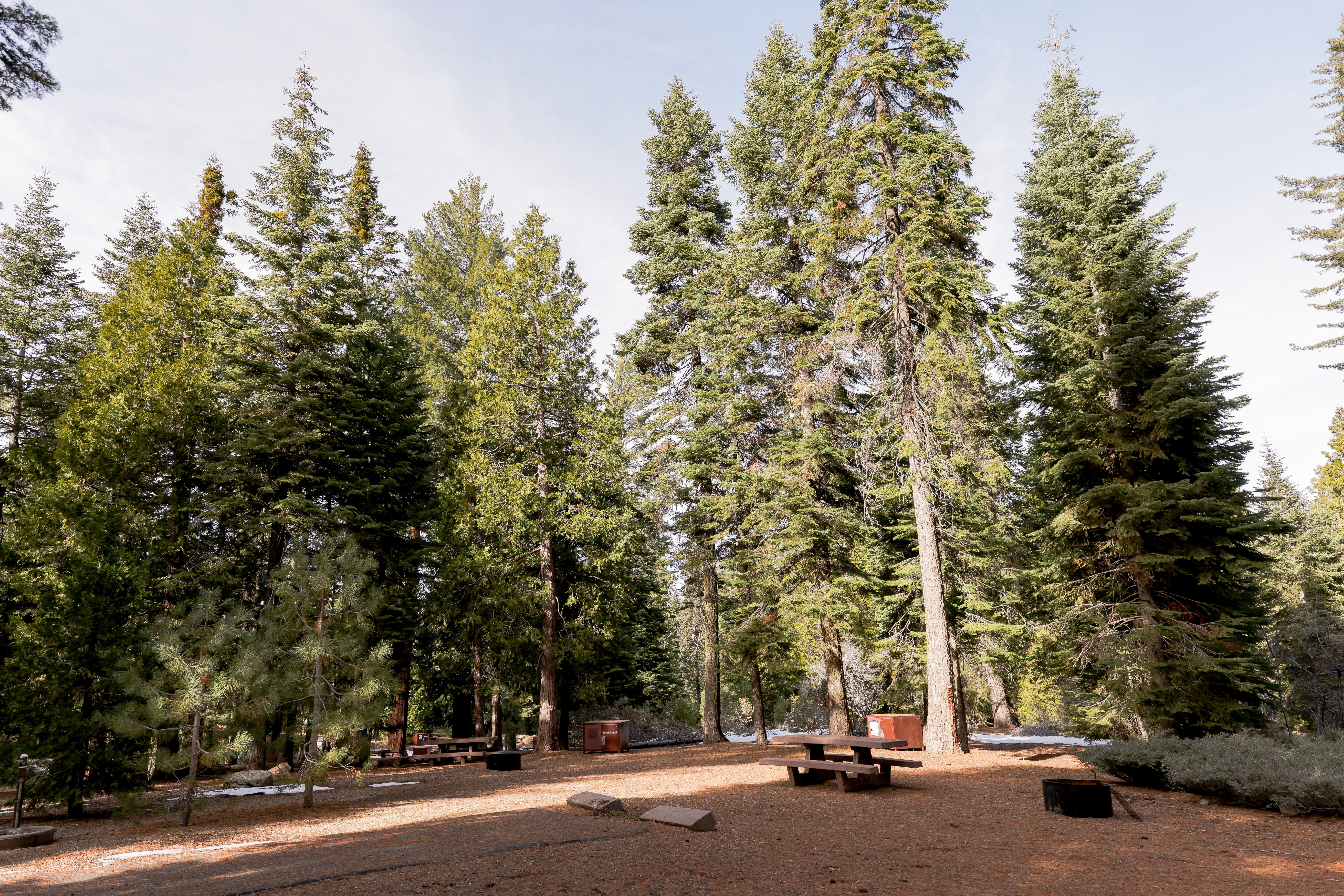 Sunset Campground (Ca)