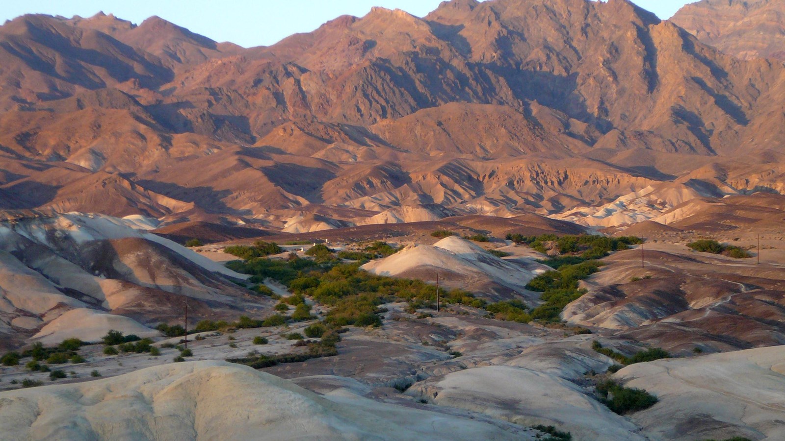 Texas Springs Campground