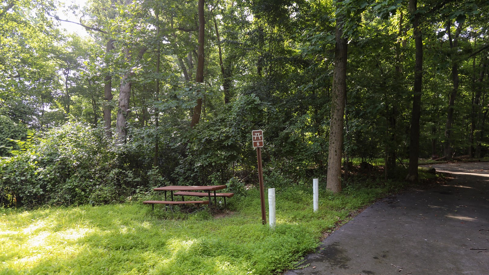 Fort Dupont Park Picnic Areas