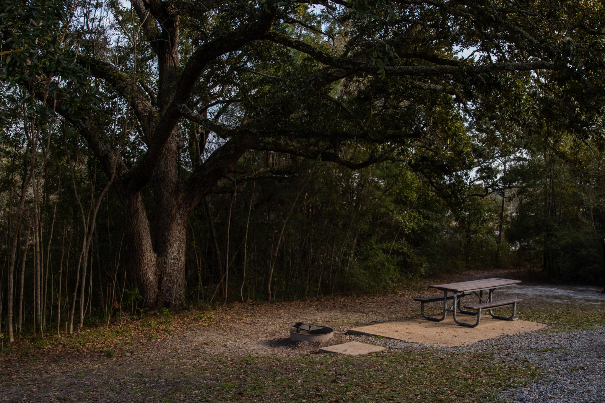 Davis Bayou Campground