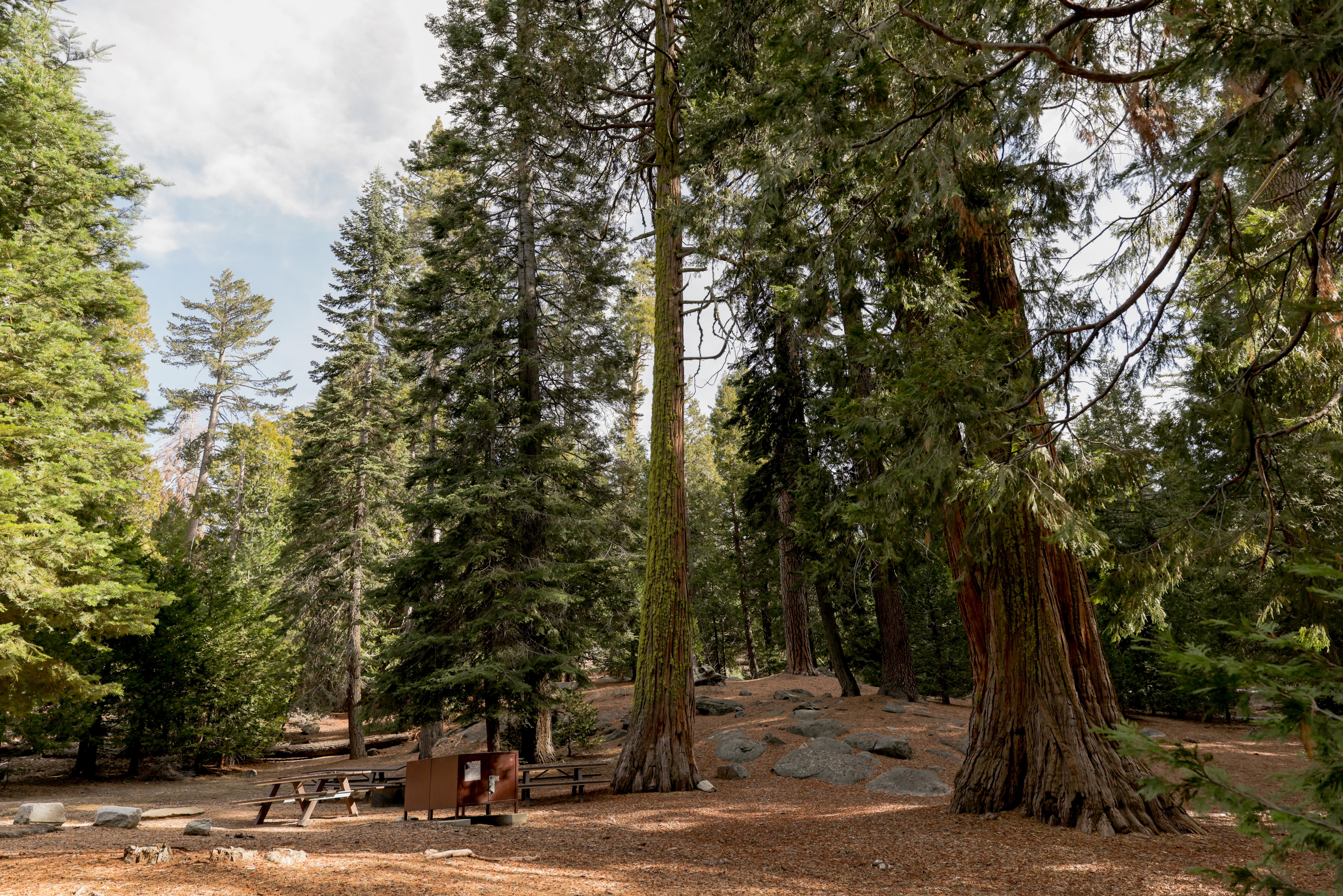 Crystal Springs Campground Mid-Sized Group Sites