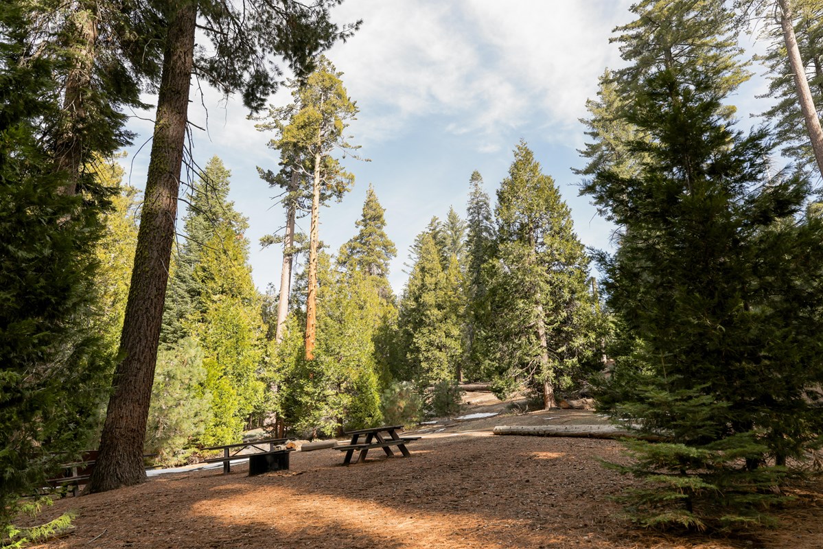 Crystal Springs Campground Mid-Sized Group Sites