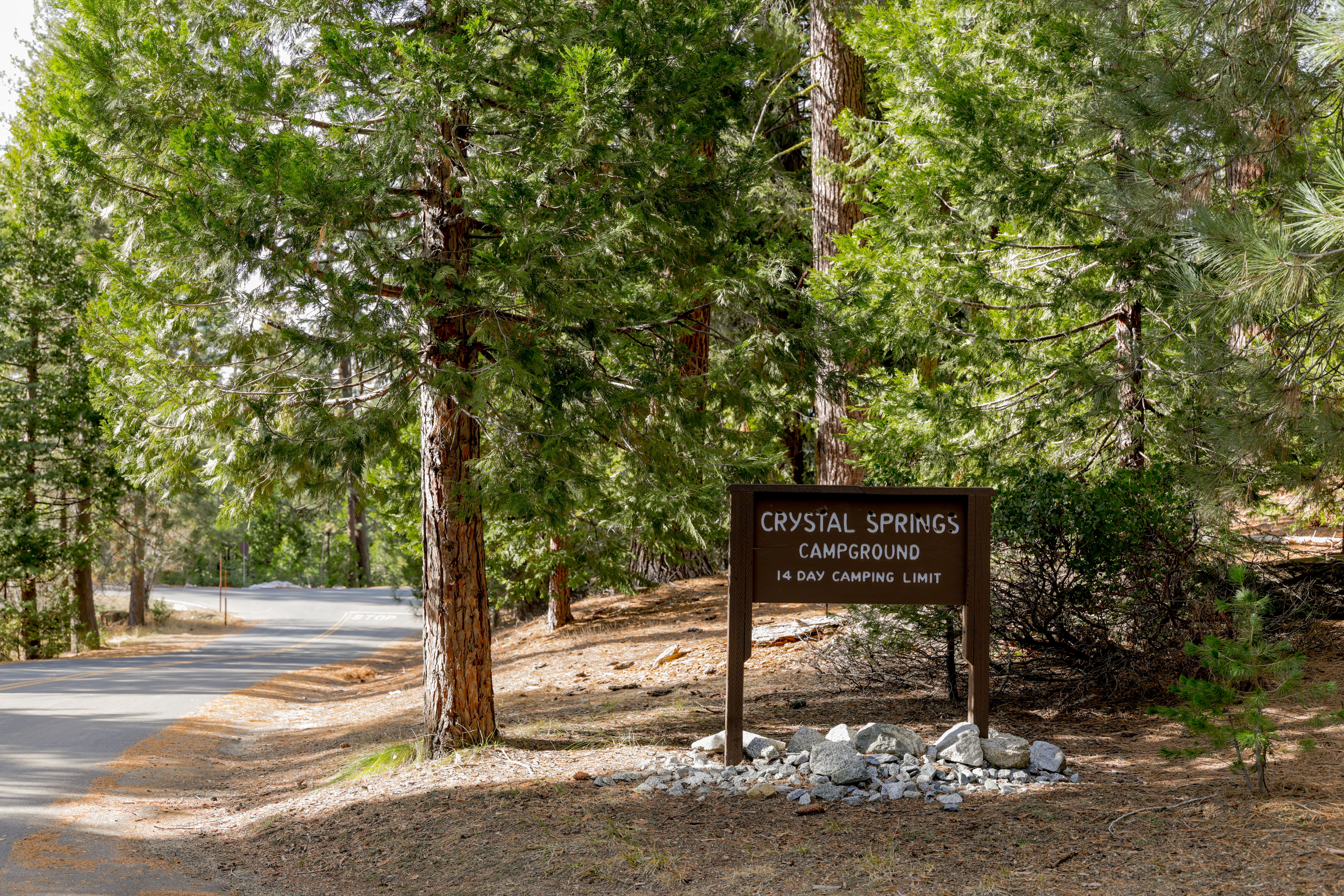 Crystal Springs Campground Mid-Sized Group Sites