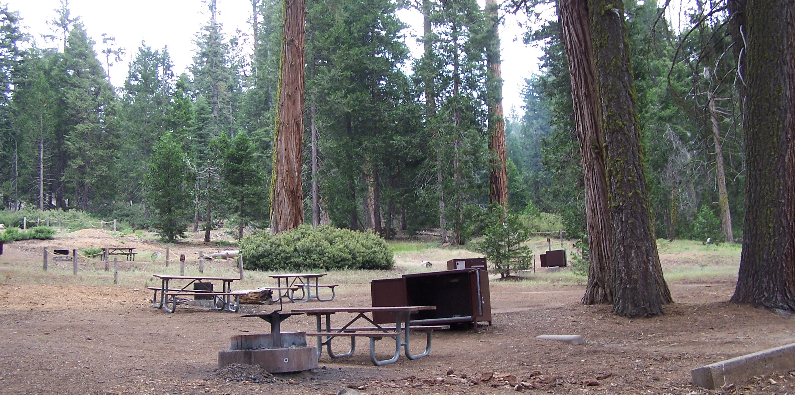 Crystal Springs Campground Mid-Sized Group Sites