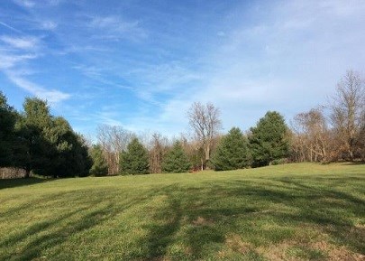 Rohrbach Group Campground