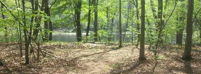 Alosa Campsites