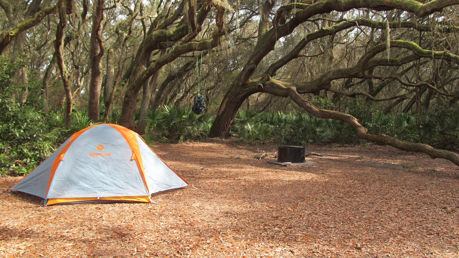 Cumberland Island National Seashore Camping Permits