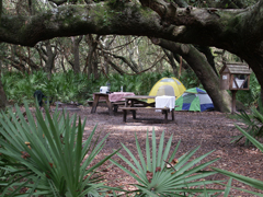 Cumberland Island National Seashore Camping Permits