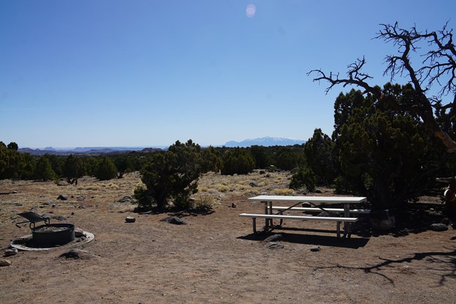 Primitive Campsites At Cedar Mesa Campground