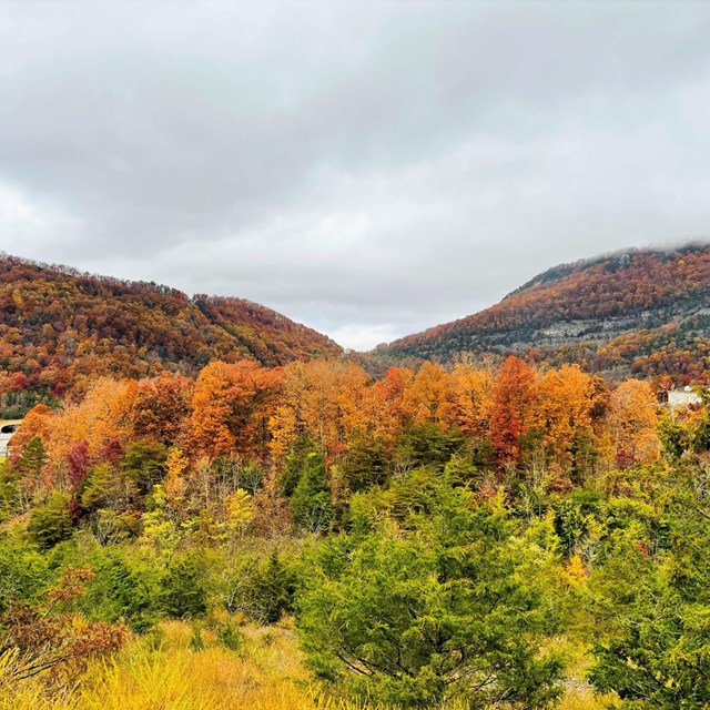 Wilderness Road Campground