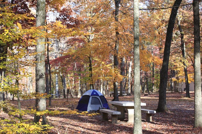 Houchin Ferry Campground
