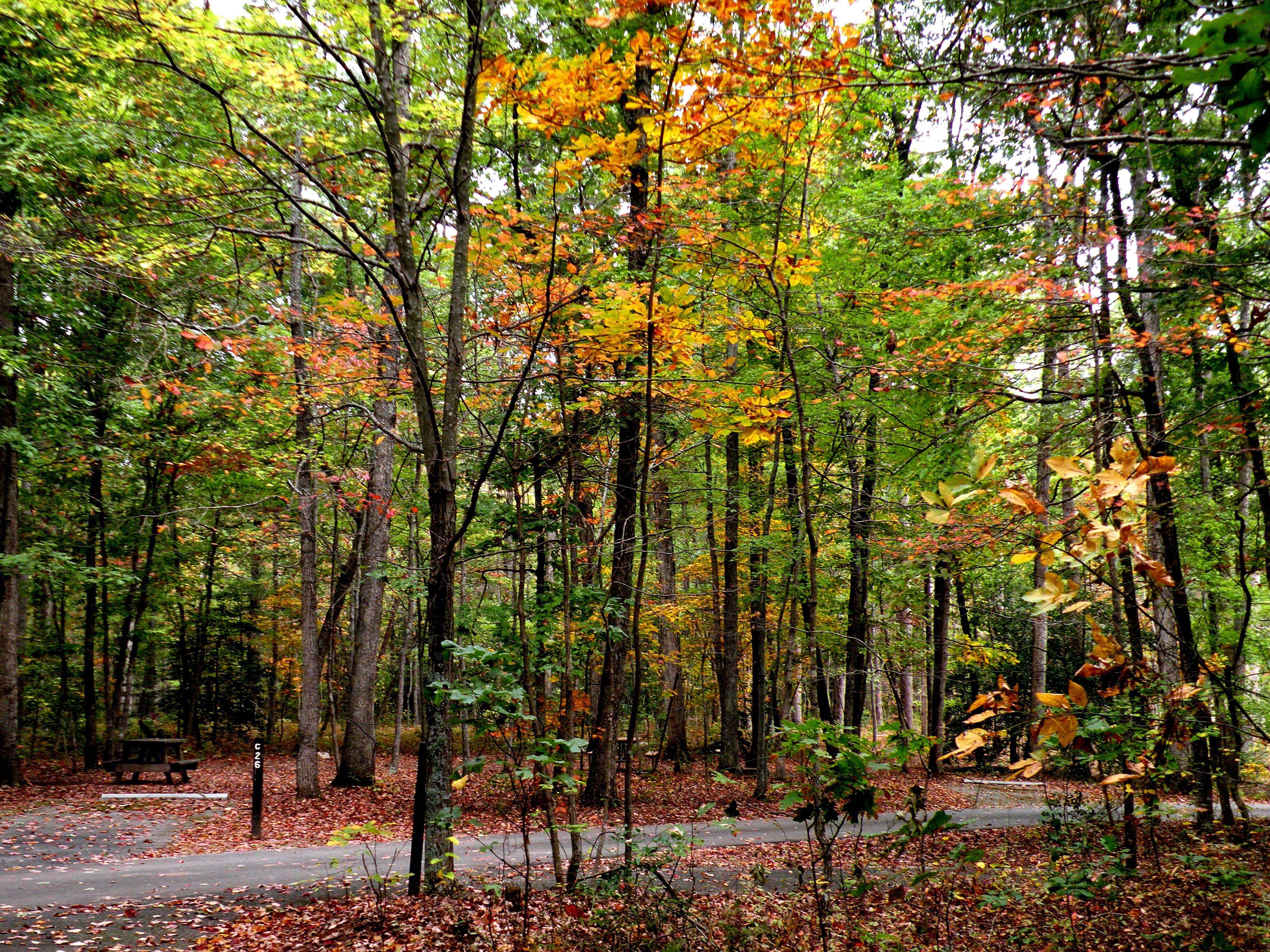 Prince William Forest Rv Campground