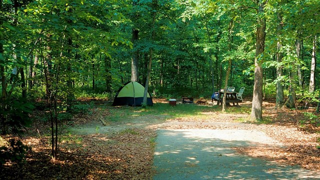 Prince William Forest Rv Campground