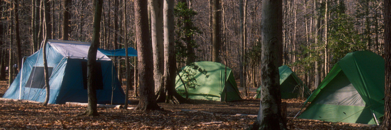 Prince William Forest Rv Campground