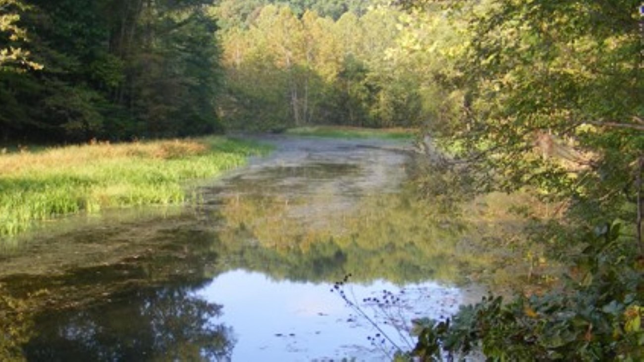 Chopawamsic Backcountry Camping Permits