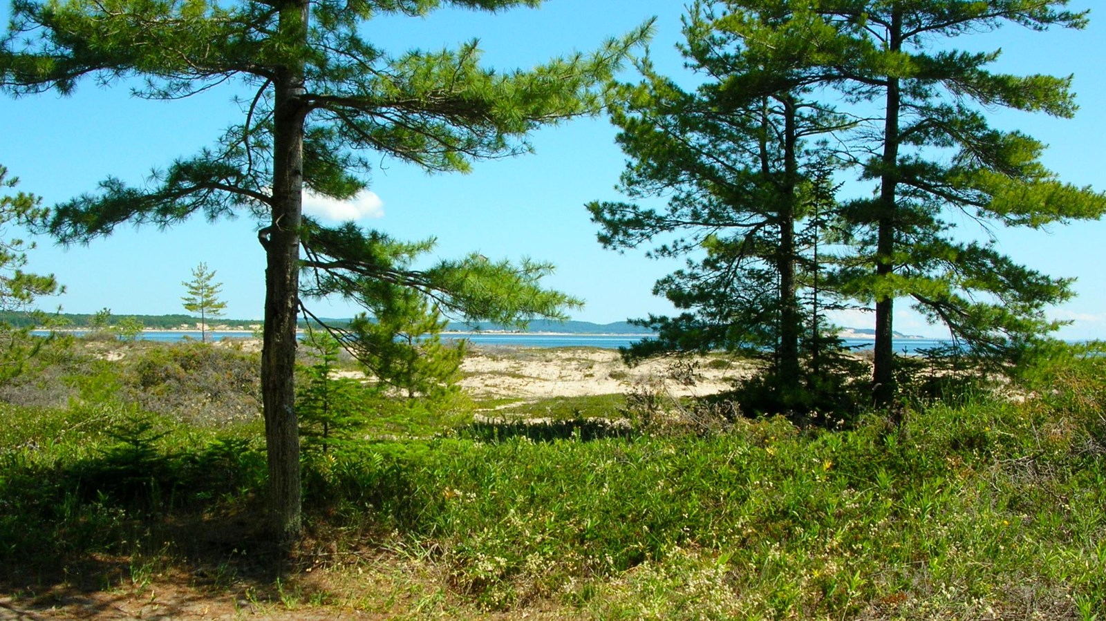 Popple Campground - South Manitou Island