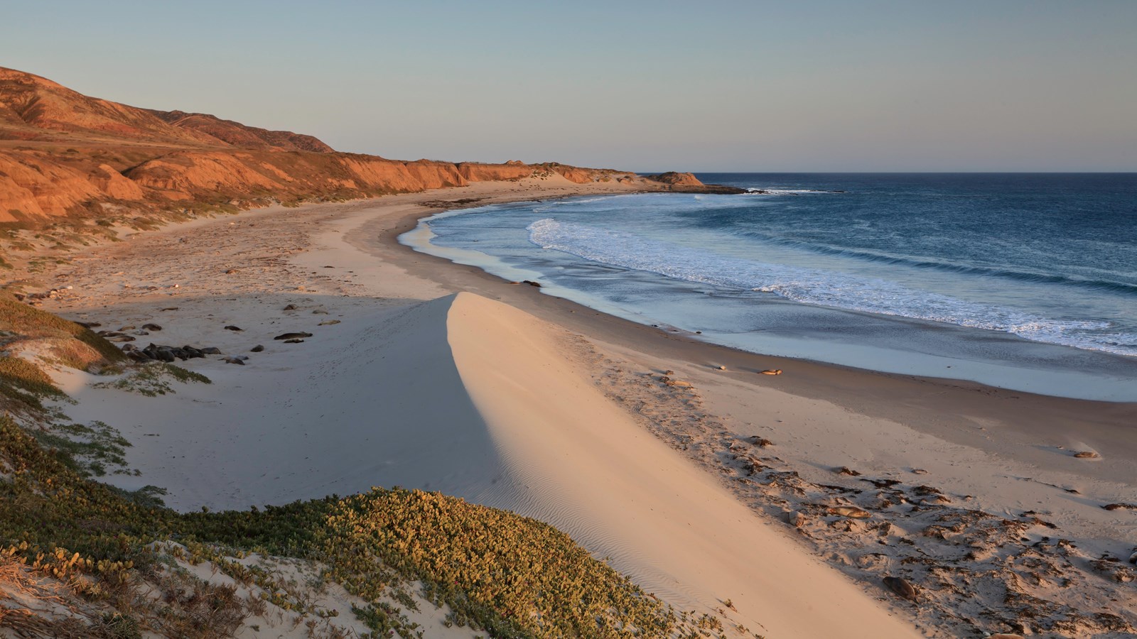 Santa Rosa Island Backcountry Beach Camping