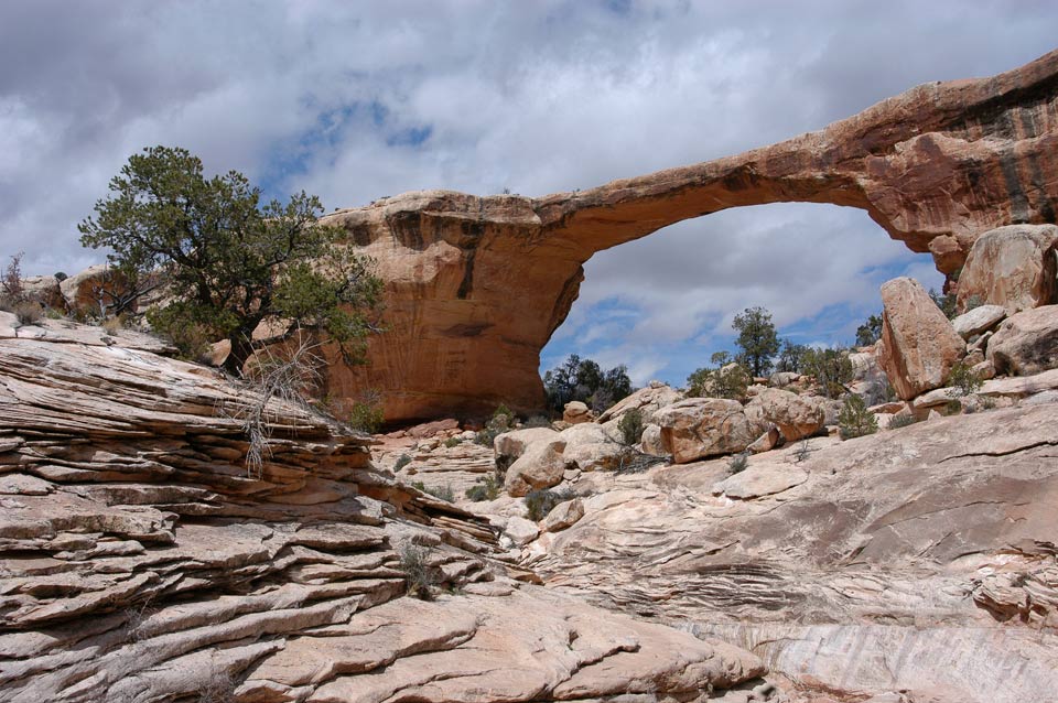 Natural Bridges Campground