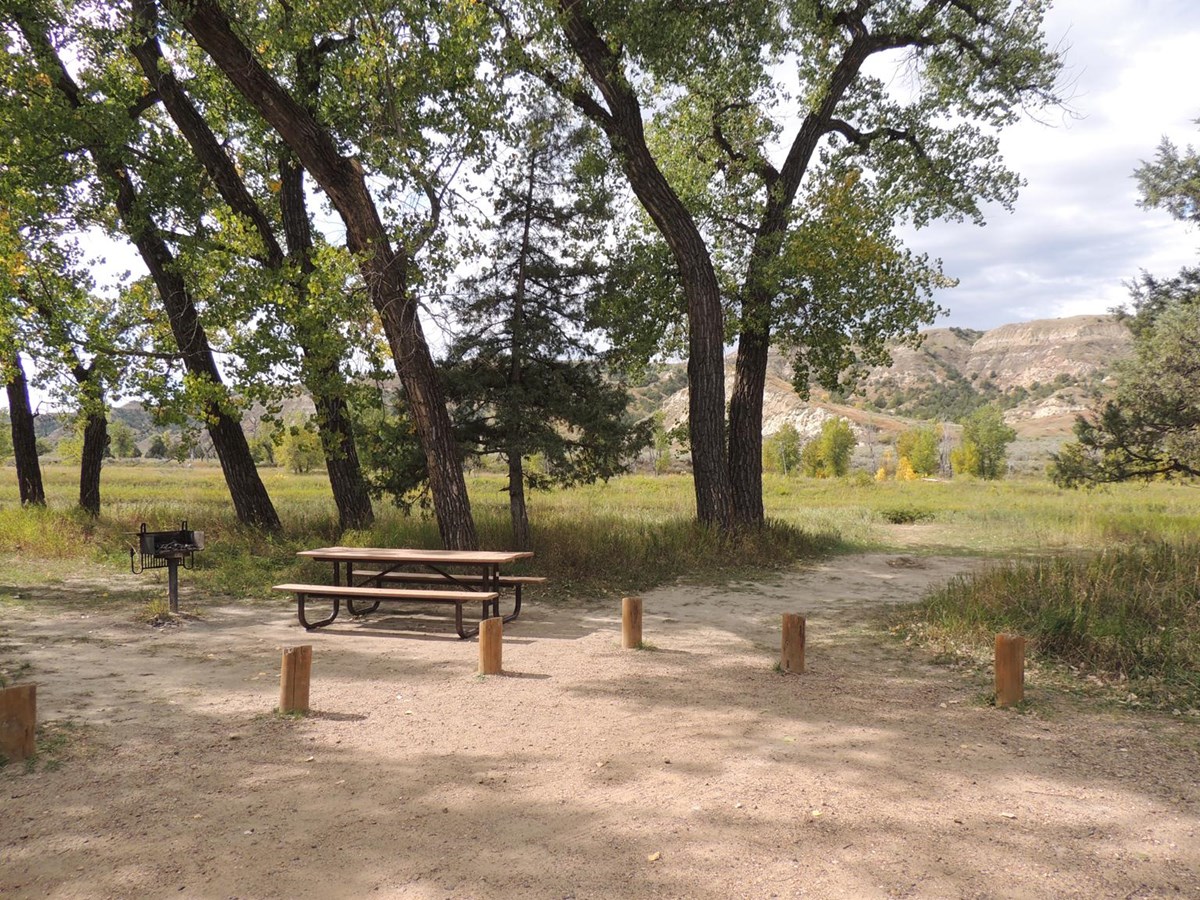 Cottonwood Campground (Ca)