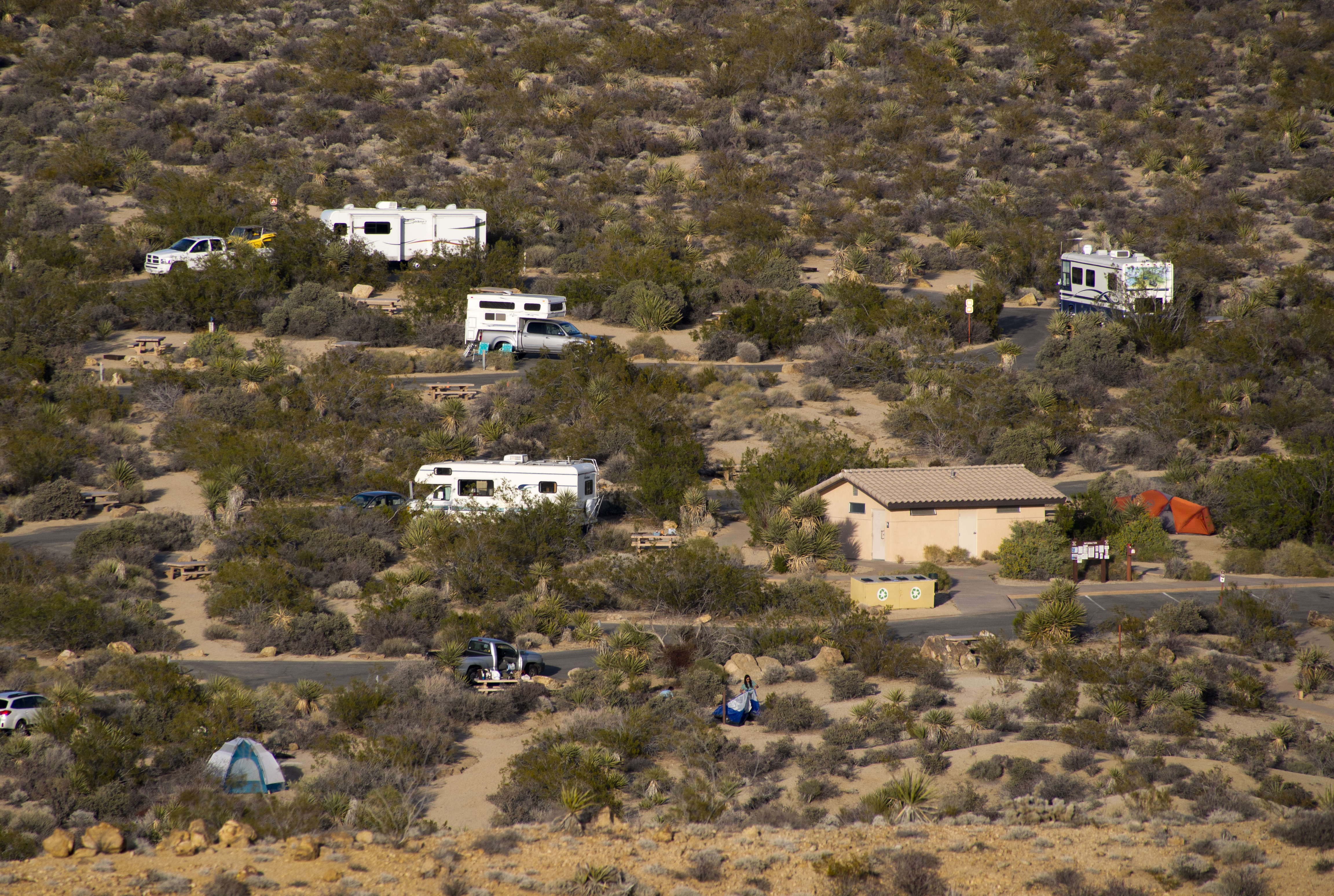 Cottonwood Campground (Ca)
