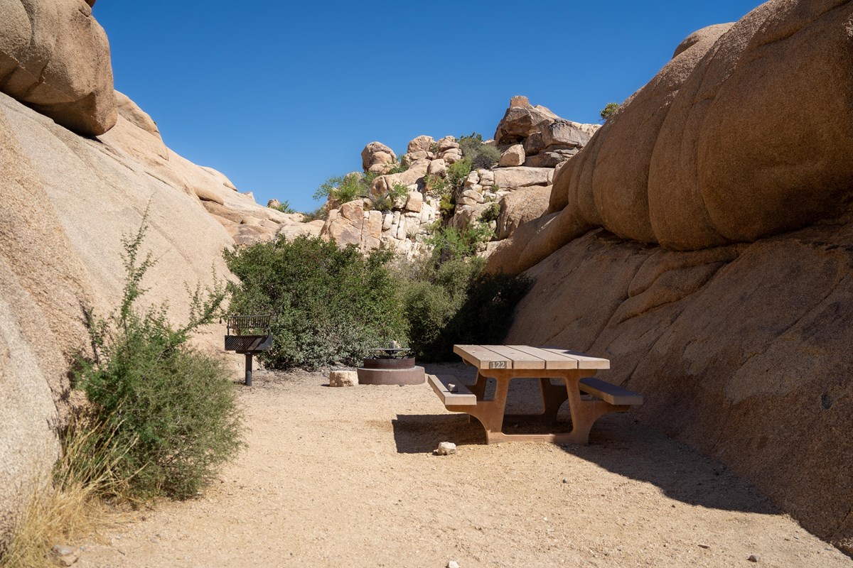 Jumbo Rocks Campground