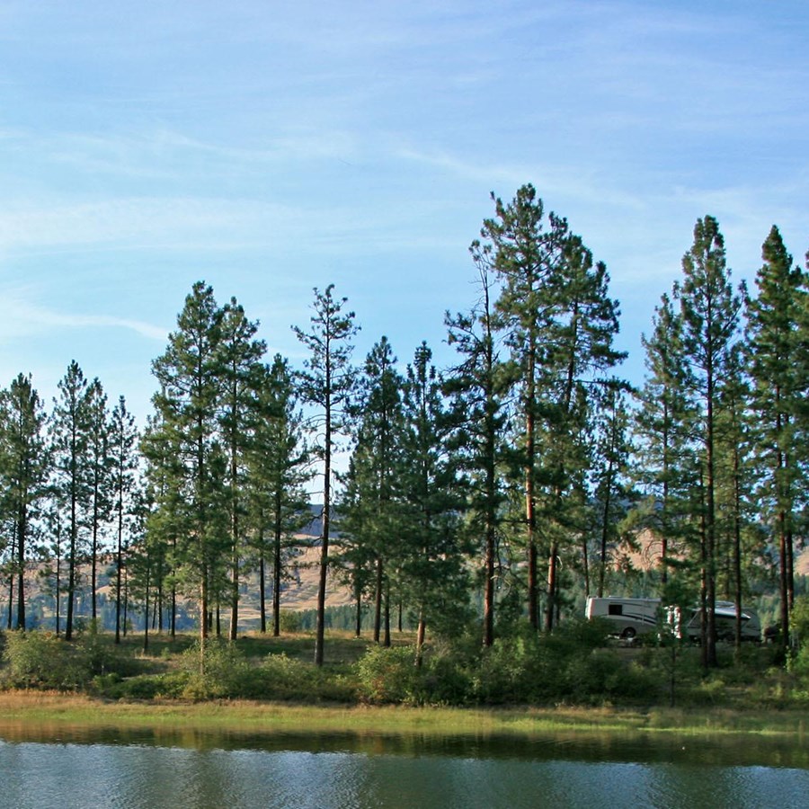 Marcus Island Campground