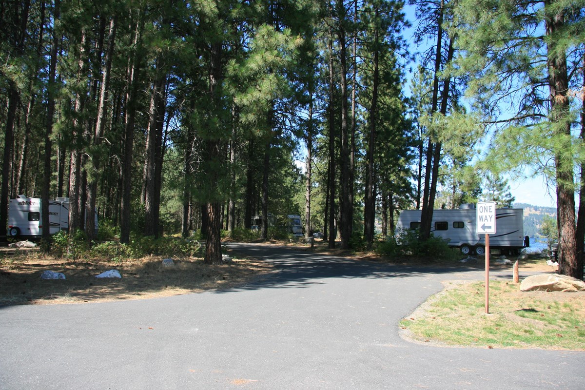 Snag Cove Campground