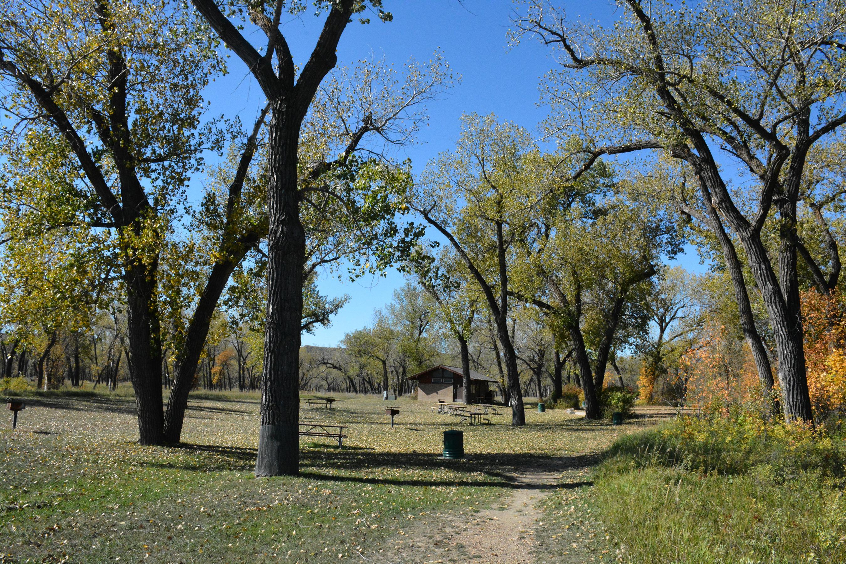 Juniper Campground Group Site (Nd)