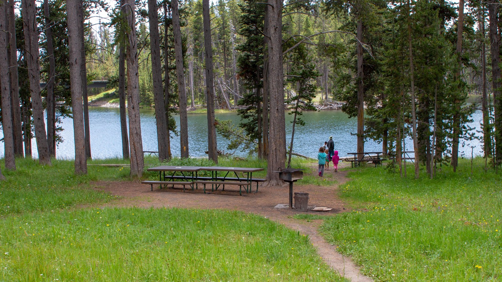 Bridge Bay Campground