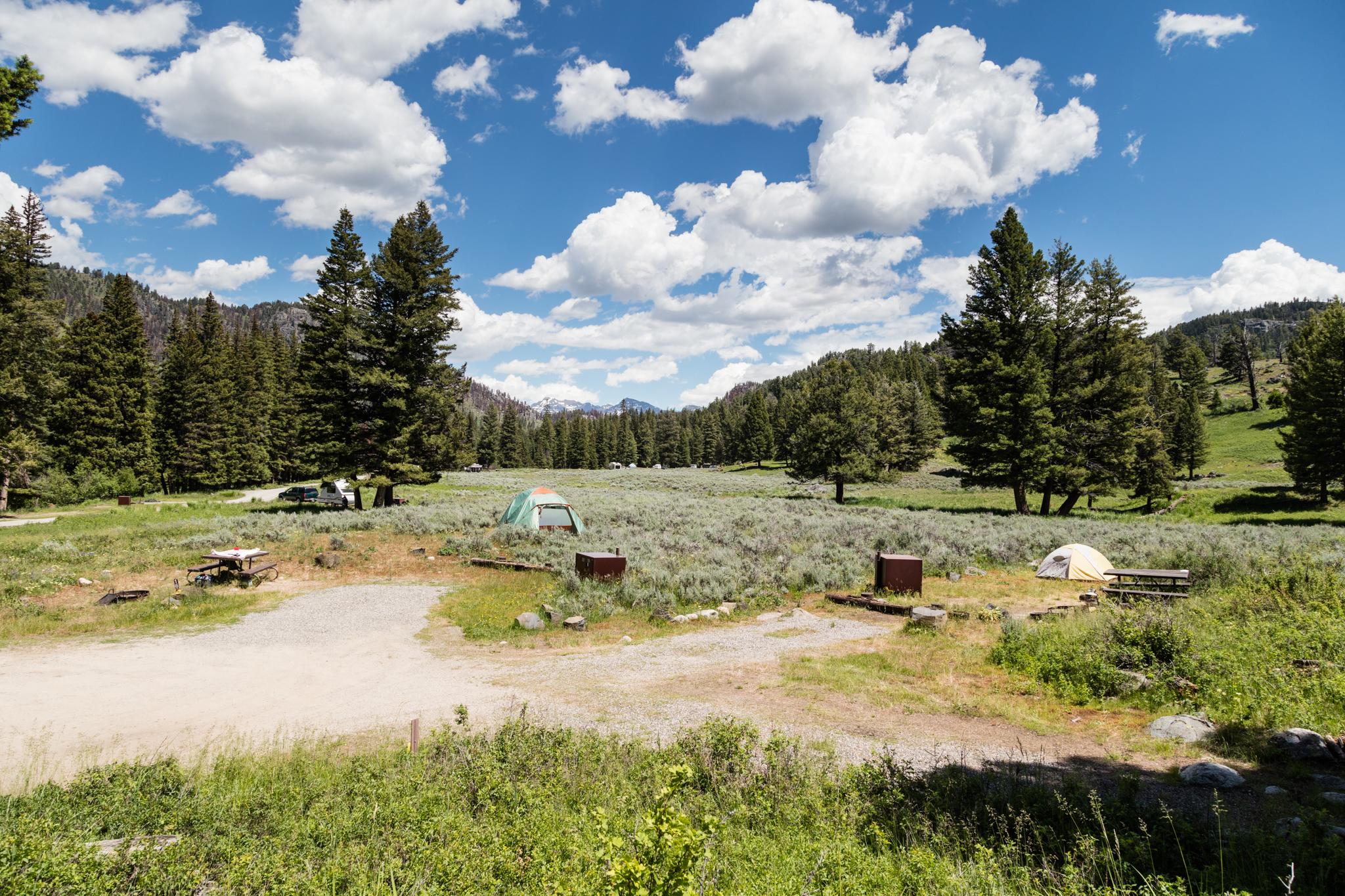 Bridge Bay Campground
