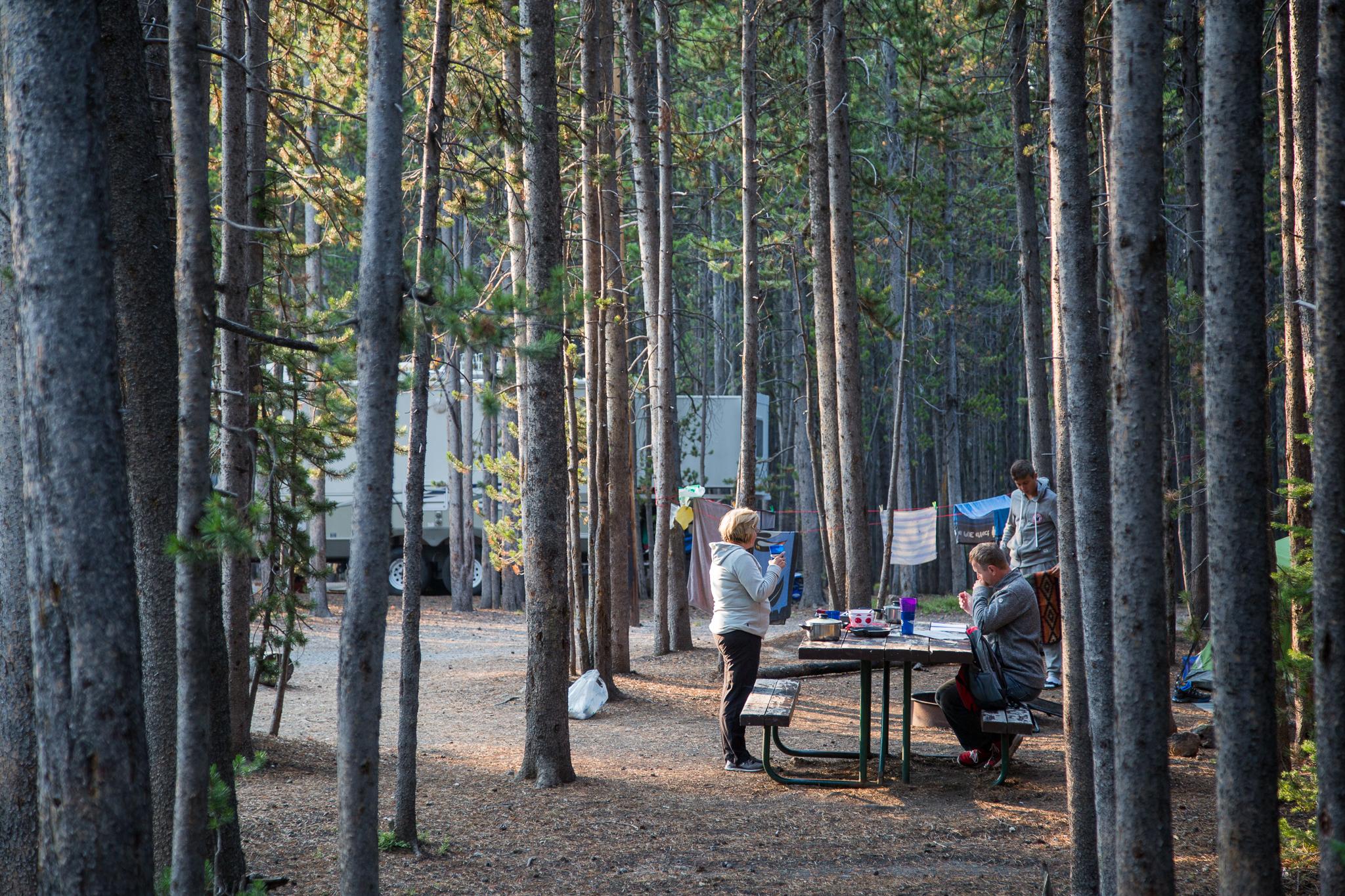 Canyon Campground