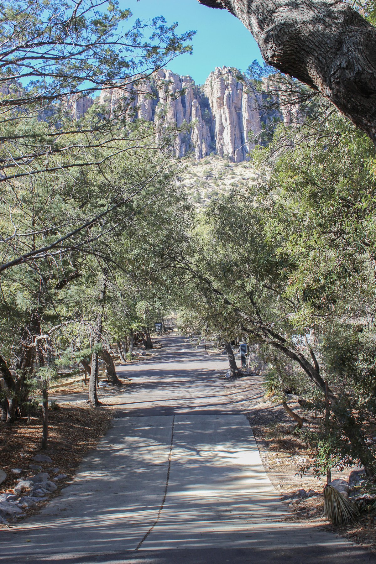 Bonita Canyon Campground