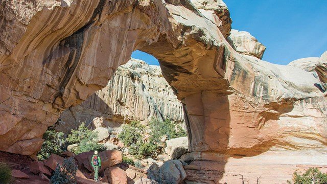 Capitol Reef Group Campground