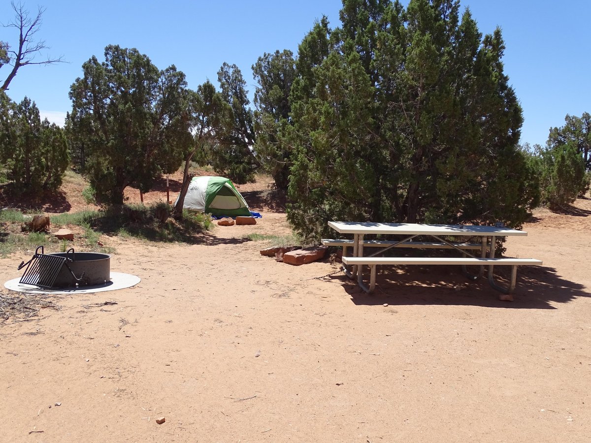 Primitive Campsites At Cedar Mesa Campground