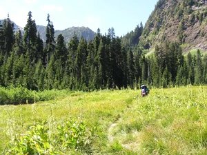 Dosewallips Campground (Walk-In Only)