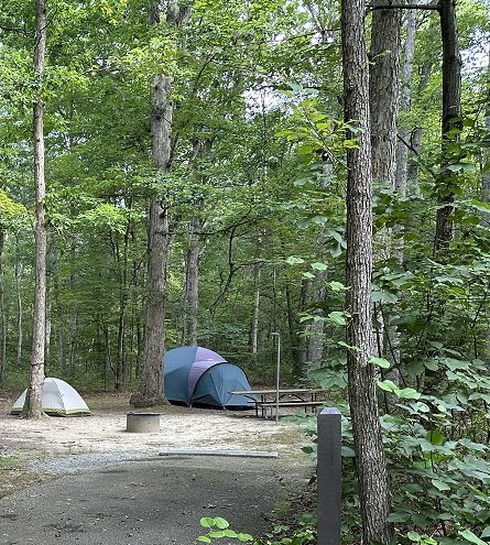Prince William Forest Rv Campground