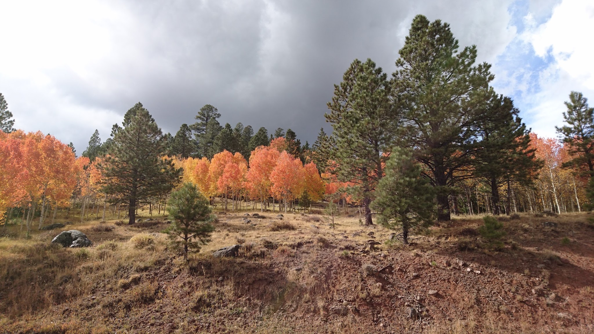 Oak Creek Campground