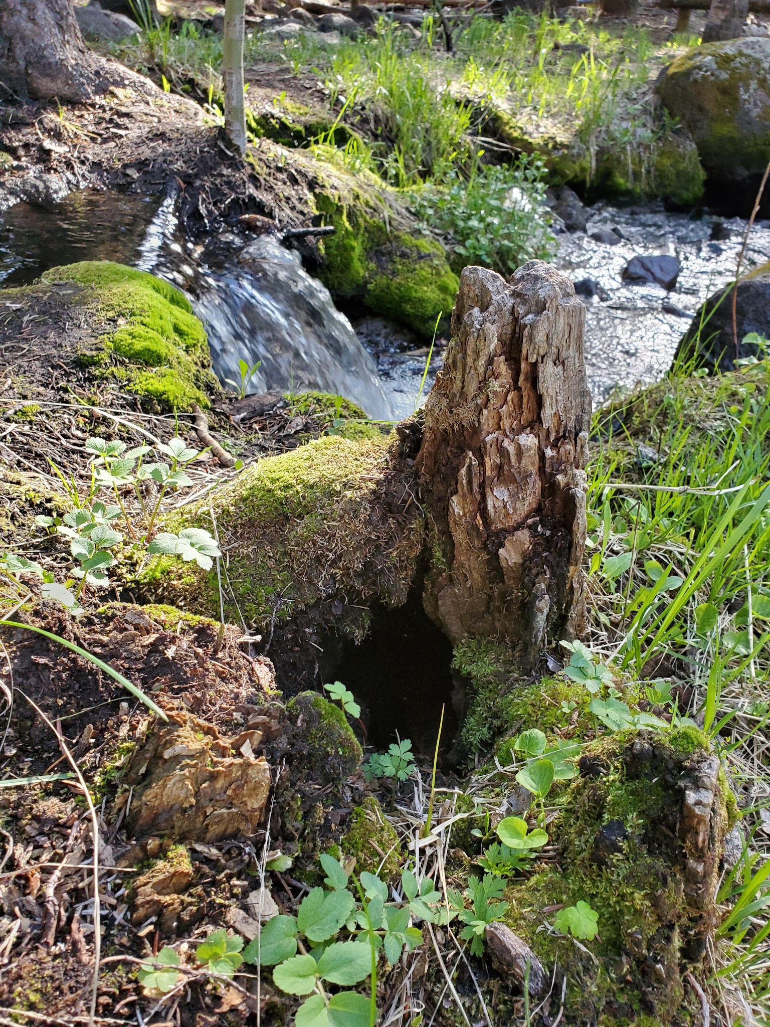 Oak Creek Campground