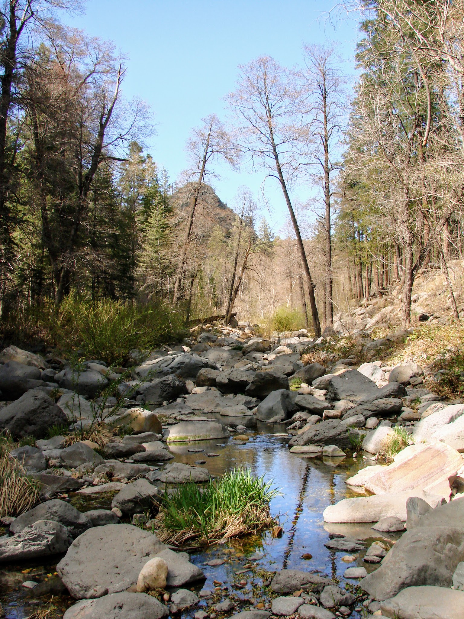 Oak Creek Campground