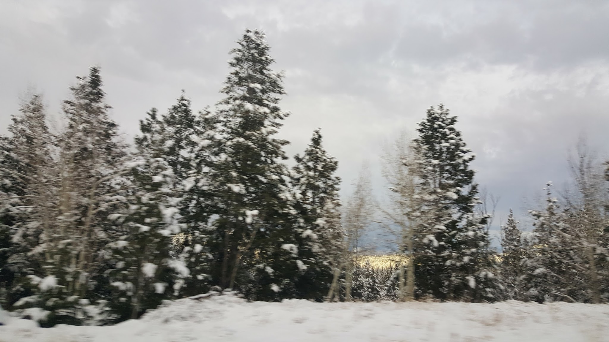 Oak Creek Campground