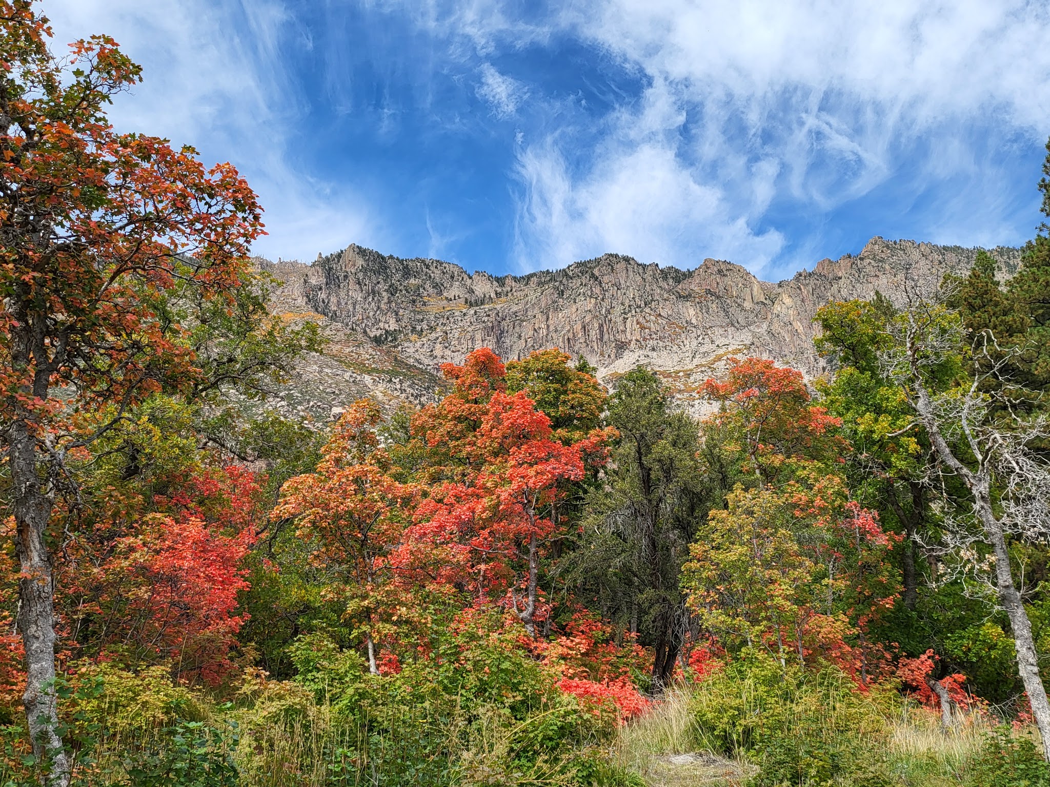 Effie Beckstrom East Group Campground