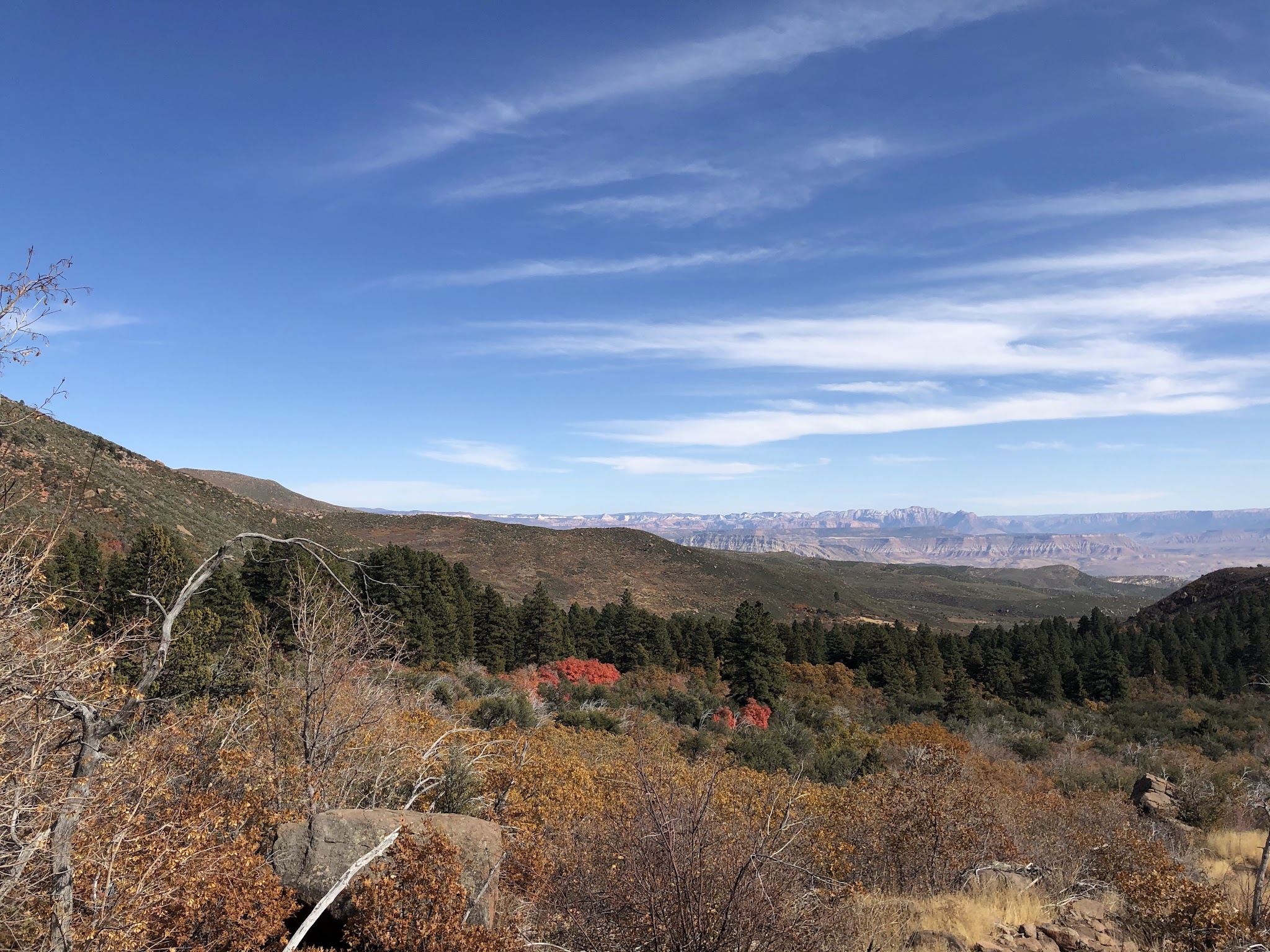 Effie Beckstrom East Group Campground