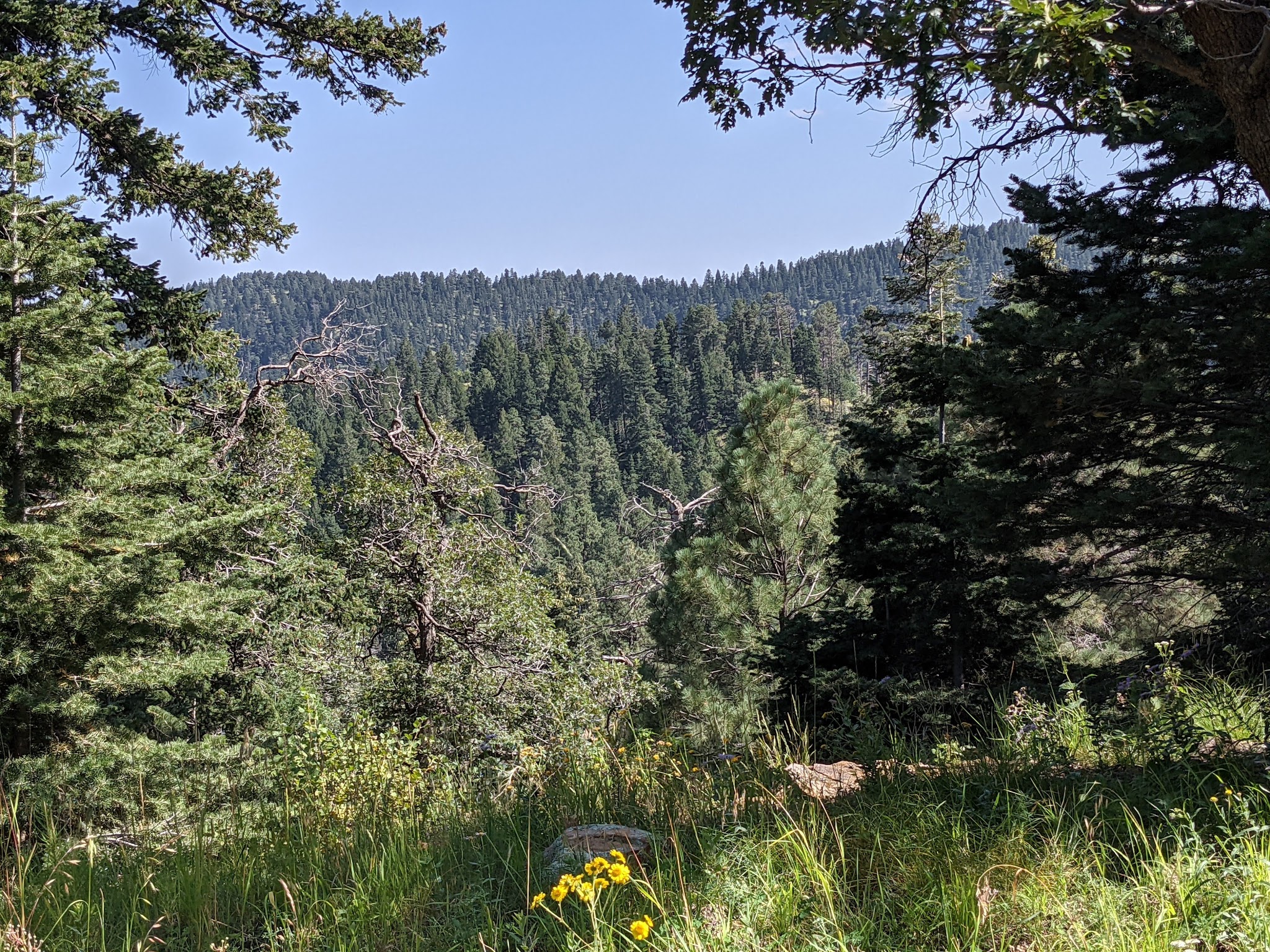 Oak Grove Campground