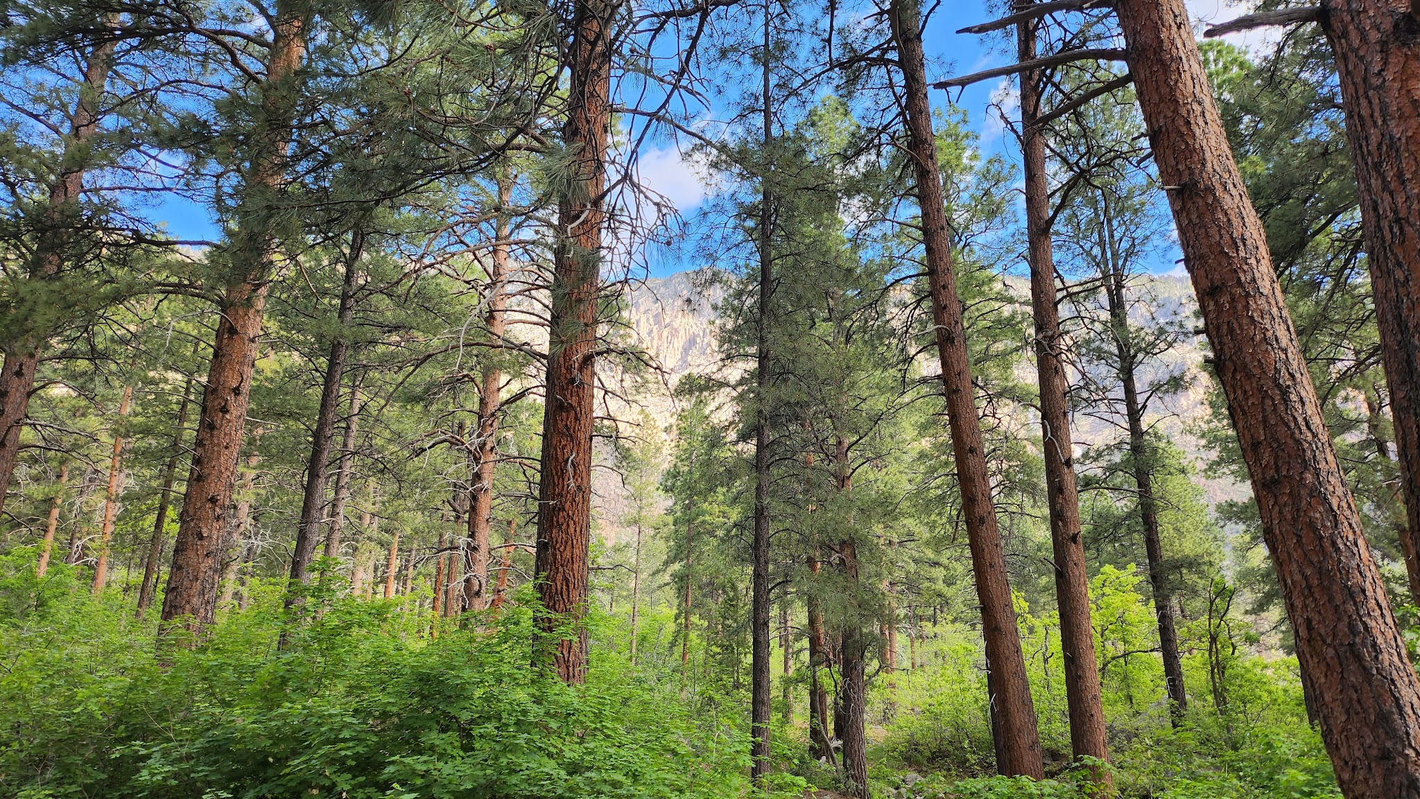 Effie Beckstrom East Group Campground