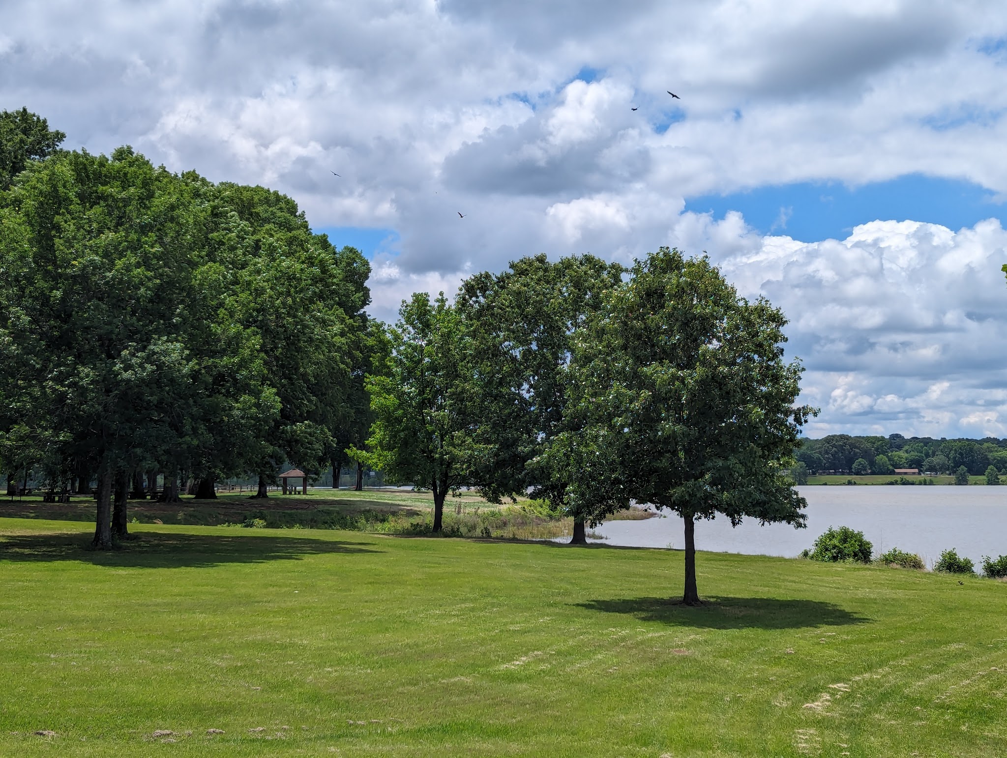 Oak Grove (Ms) | Camping Information & Reviews